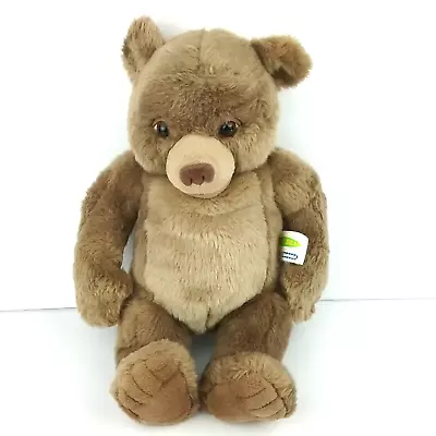 Little Bear Plush Talking Interactive Stuffed Toy 1999 Kid Power Maurice Sendak • $54.99