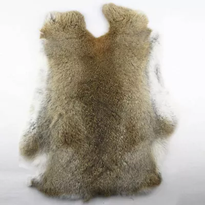 Genuine Natural Rabbit Fur Skin Tanned Leather Hide Craft Pelts Black/Gray/Brown • $5.97