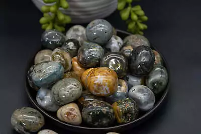 Ocean Jasper Tumbles • $1.44