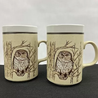 Set Of 2 Vintage Owl Tree Branch 12 Oz Speckled Embossed Mugs Cups Japan • $16.88