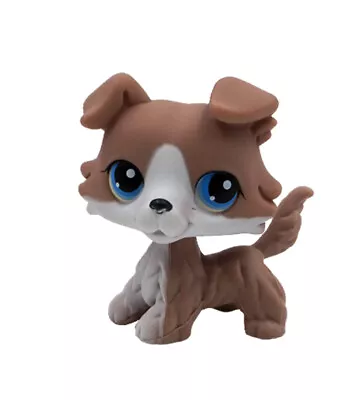 £10.99 • Buy Littlest Pet Shop Rare Figure LPS #67 Blue Eyes Collie Dog Kids Toys Grey White