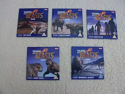 Walking With Beasts 5 Dvds • £3.99