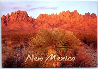 Postcard Organ Mountains New Mexico USA North America • $8.99