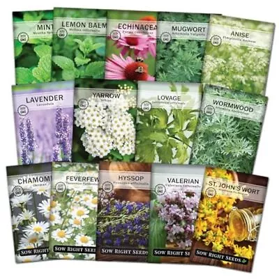  - Medicinal Herb Seed Collection For Planting - Chamomile Echinacea  • £27.30