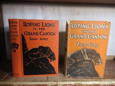 Old ROPING LIONS IN THE GRAND CANYON Book 1924 ZANE GREY WESTERN COWBOY HORSE ++ • $2.25