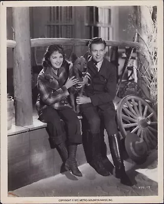 8x10 Photo Sequoia (1934 Film) Jean Parker Russell Hardie  1972RR • $14.99