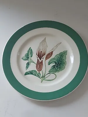 Vintage Myott Molly O'Day Plate Art Deco Era Staffordshire England • £20