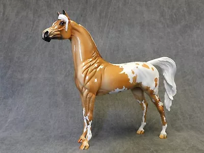 Peter Stone * Glossy Charity * Arabian Appaloosa 1 Of 50 Traditional Model Horse • $590.04