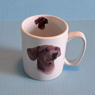 New Red Dachshund And Definition Of A Dachshund Ceramic Coffee Cup - Mug • $12.50