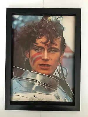 ADAM ANT-1982 Framed Picture • £13.99