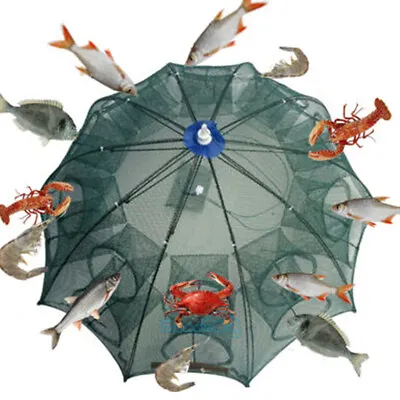 Large Fishing Bait Trap Crab Net Crawdad Shrimp Cast Dip Cage Fish Minnow • $9.87