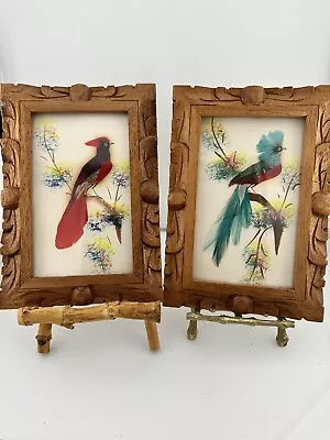 2 Vintage Mexican Folk Art Feathercraft Bird Feather Pictures Wood Frames • $24.50