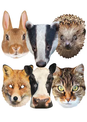 £9.99 • Buy Countryside Animals 2D Card Party Masks Variety 6 Pack Includes Badger And Fox