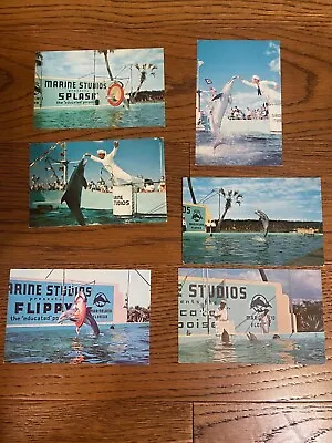 Marine Studios Marineland FL Porpoise Show Lot Of 6 Postcards Florida • $3.65