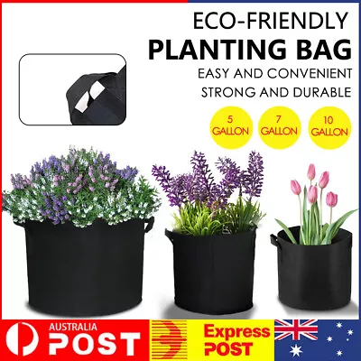 $10.99 • Buy  Details About  Up To 10 Plant Grow Bag Potato Fabric Pots Grow Bags Handles 3 5