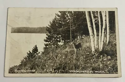 Faun Baby Deer Harrisvile  Michigan Northwoods RPPC Real Photo Postcard 1942 • $11.29