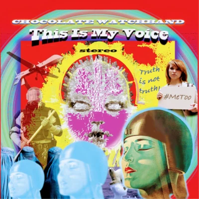 £29.81 • Buy The Chocolate Watch Band This Is My Voice (Vinyl) 12  Album (US IMPORT)