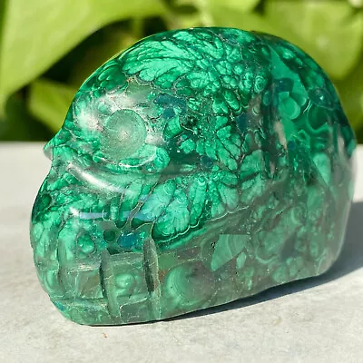 227G Natural Malachite Quartz Crystal Skull Carved Stone Skeleton Ghost Head Hea • $0.99