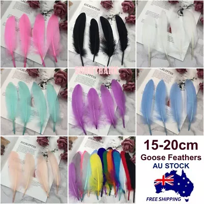 Bulk 50x Goose Feathers DIY Craft Party Cake Decor Dream Catcher 15-20cm AU • $7.99