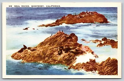 Seal Rocks Monterey California Vintage Postcard • $2