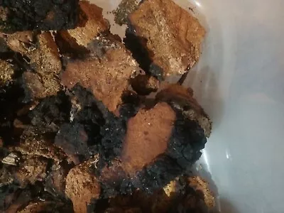 1 Pound ME Chaga Mushroom  FREE SHIPPING!! • $19