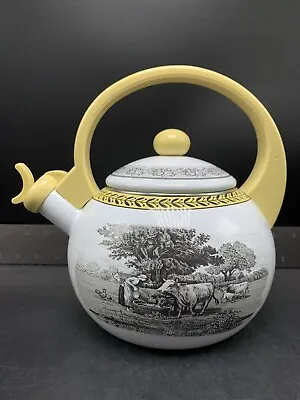 Vintage Villeroy & Boch Mint Audun Ferme Enamel Tea Kettle Teapot • $140