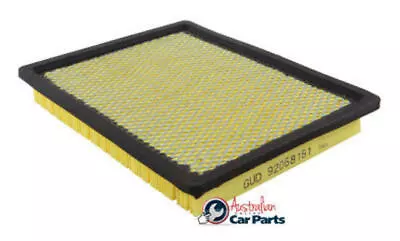 Air Filter Genuine Suitable For Holden Commodore VT VX VY VZ V6 V8 92068161 • $13.21