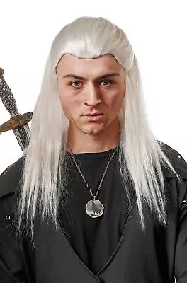 Medieval Knight The Witcher Geralt Inspired Grey Wig • $14.43