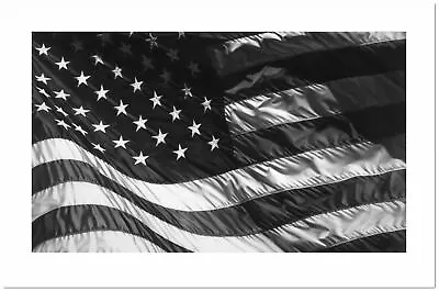 $30.43 • Buy Robert Longo, 'Flag', Fine Art Print, Various Sizes