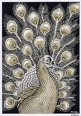 MINT & SIGNED EMEK  Peacock  (QOTSA 2005 LA) Handbill  • $36