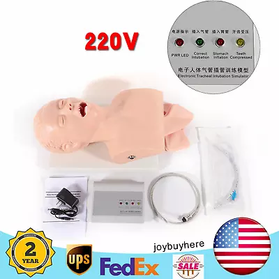 $208.05 • Buy PVC Intubation Manikin Study Teaching Model Airway Management Trainer Tool 220V