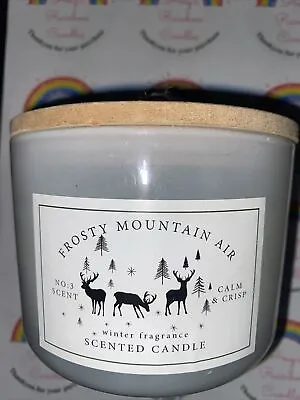 Frosty Mountain Winter Fragrance Scented 2 Wick Candle B&M • £12