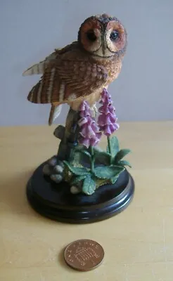 Country Artists Tawny Owl With Foxglove - Broadway Birds - With Original Box • £14