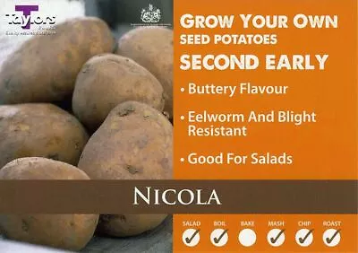 £4.50 • Buy Nicola Seed Potato - Second Early - Available In Bags Of 5,10,15
