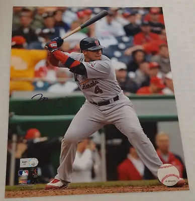 YADIER MOLINA Autographed Signed 8x10 Photo File MLB Holo COA Baseball Cardinals • $149.99