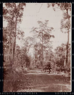 1923 ~Campbell Town-Lake Leake-Swansea Road Tasmania ~Photo Ben Sheppard • $15