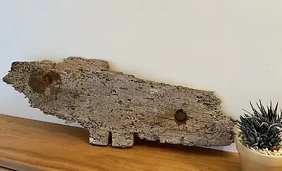 £12.99 • Buy 57cm LARGE DRIFTWOOD PIECE Wall Hanging Sea Beach Art Craft Sign Flat Sculpture
