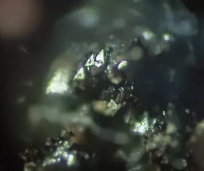 Mottramite - Ford Mine Arizona USA - Beautiful Micromount Mineral Specimen • $7.47
