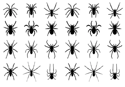 24x Black Spiders Cupcake Toppers Edible Wafer Paper Fairy Cake Toppers • £2.59