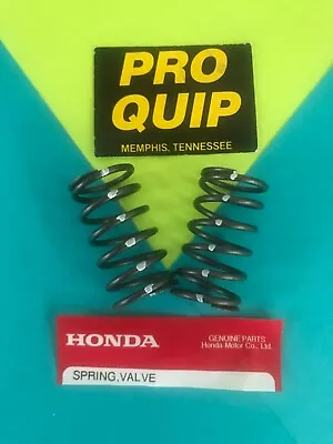 Engine Valve Springs Predator 212 (non-Hemi) Honda GX200 18 Pound 18# Pair USA • $19.49