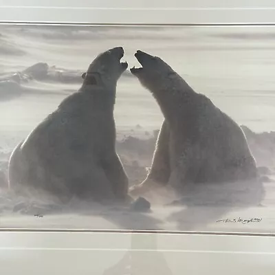 Thomas D. Mangelsen WIND SONG Polar Bears Hudson Bay Photograph 20 X30  428/1200 • $349