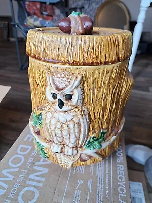Vintage 1980s Ceramic Glazed Owl Canister Cookie Jar Large Handmade  • $49