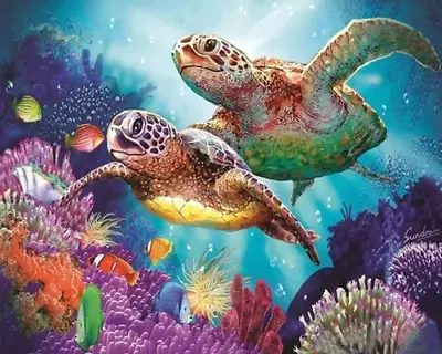 Paint By Numbers (Rolled) - Sea Turtle Reef - 40x50cm DIY Paint Kit - AU Stock • $39