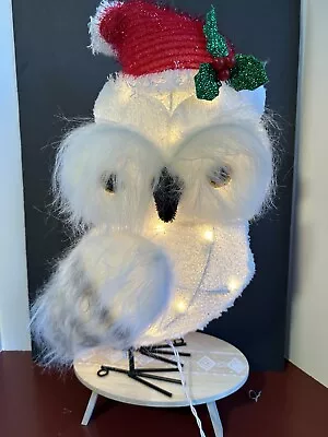 Holiday Light Up Plush Owl Christmas Decor Santa Hat Indoor Outdoor • $30