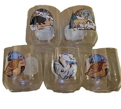 Set Of 5 Vintage American Wildlife Whiskey Glasses. • $20