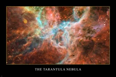 £10.14 • Buy THE TARANTULA NEBULA Hubble Space Telescope Image POSTER 20x30 Massive Stars