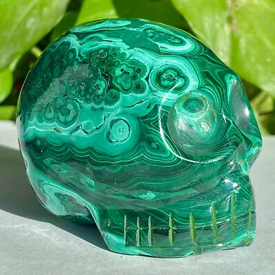 1.35LB Natural Gemstone Malachite Quartz Crystal Skull Carved Healing Reiki Ston • $2.25