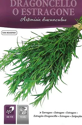 £1.39 • Buy Herb  Tarragon  0.20gm Approx 1250 Seeds  Pictorial Italian Packet