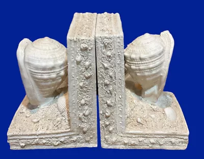 Vintage Seashell Conch Shell Bookends Beach Nautical Decor Ceramic Sea 6  X 5  • $15