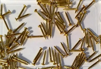 Real Brass Nail 10mm X 1.1mm Panel Pin Dolls House NOT STEEL Round Head 2.25mm • £5.49